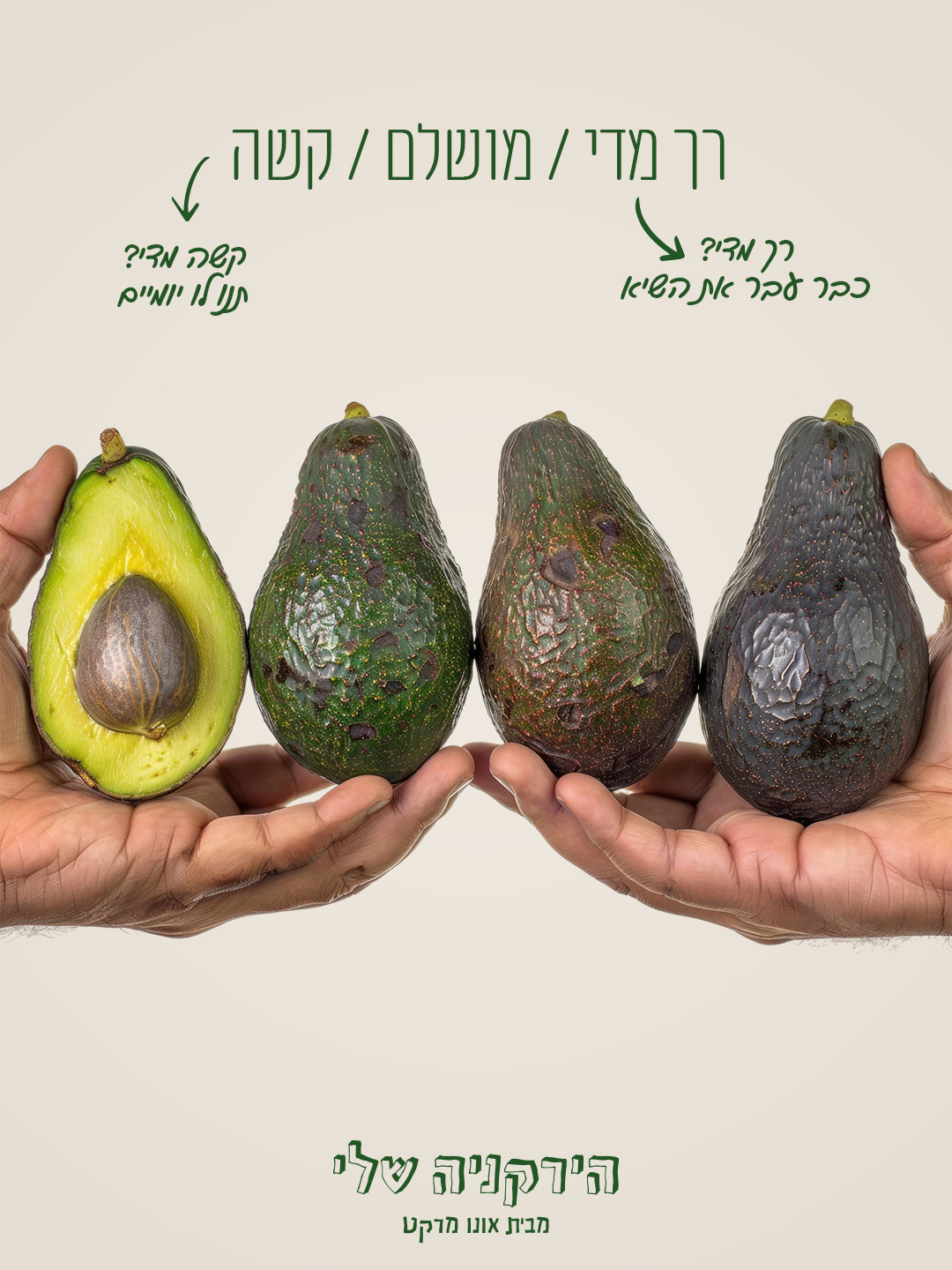 Hayarkania avocado